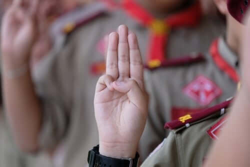 What Are Boy Scouts?