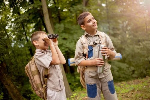 What Are Boy Scouts?