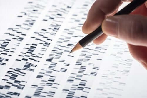 Prenatal Genetic Testing: Characteristics and Advantages