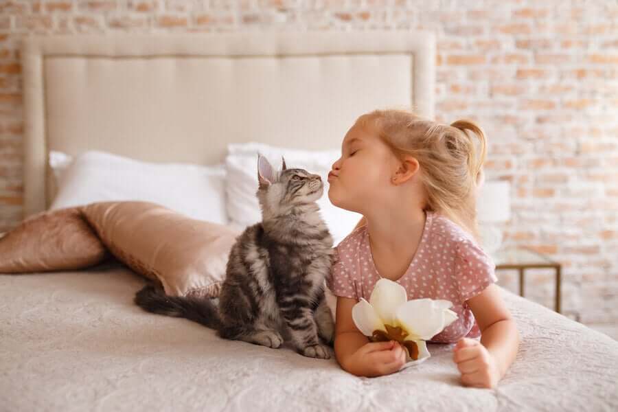 My Pet Is Lost! What Should I Do?