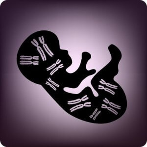 Prenatal Genetic Testing: Characteristics and Advantages
