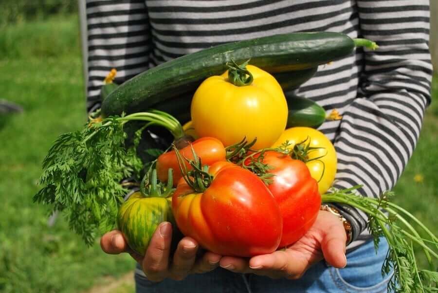 Is It Safe for Children to Follow a Vegetarian Diet?