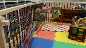 6 Tips to Choose the Best Corrals for Children