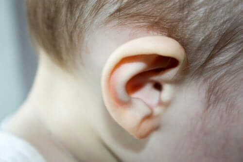 Early Detection of Hearing Loss in Infants