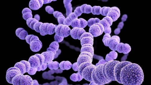 Cellulitis in Children: What You Should Know