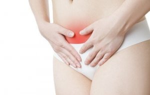 What You Should Know About the Endometrium