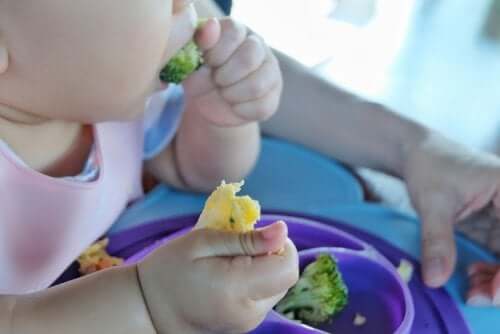 A baby eating finger foods.