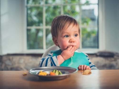 Baby-Led Weaning Recipes