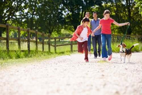 Children in Stepfamilies: What You Should Know