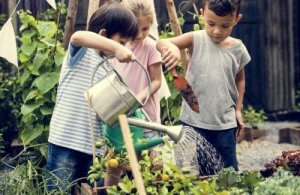 The Importance of Experiential Learning