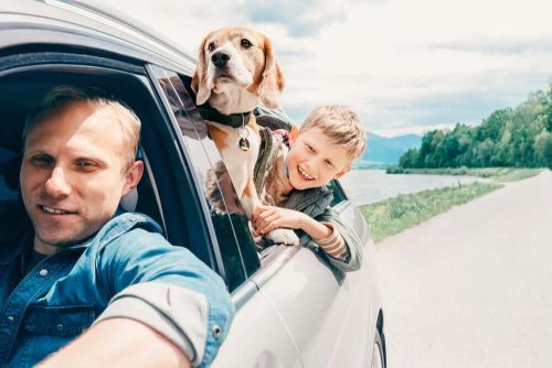 3 Types of Cars for Big Families