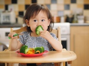 Soft Diet for Children with Stomach Problems