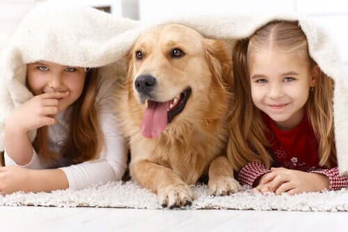 The Benefits of Growing Up with a Pet