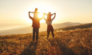 What Are the Main Functions of the Family?