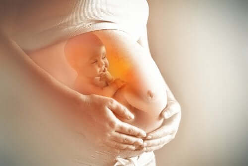 Very Interesting Facts About Amniotic Fluid 