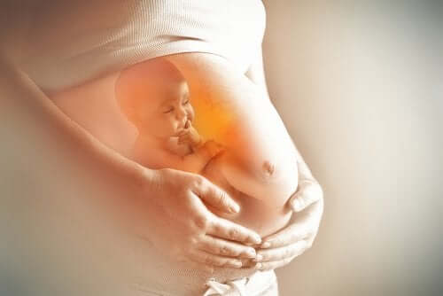 Very Interesting Facts About Amniotic Fluid