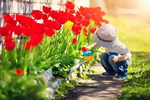 Great Children’s Books About Gardens
