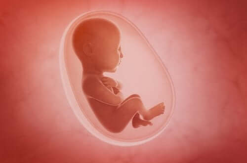 Very Interesting Facts About Amniotic Fluid