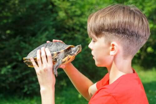 Effects of the Turtle Technique on Self-Esteem