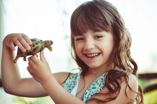 Effects of the Turtle Technique on Self-Esteem