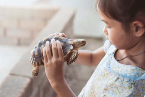 Effects of the Turtle Technique on Self-Esteem