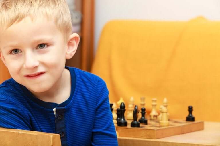 Educational Needs of High-Ability Children