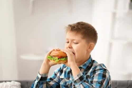 5 Myths About Child Feeding