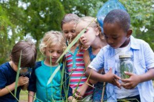 Is Learning by Osmosis Possible?