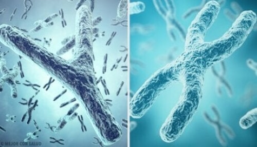 Genetics for Children: What Are Genes and Chromosomes?
