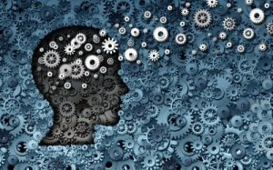 What Is Evolutionary Psychology?