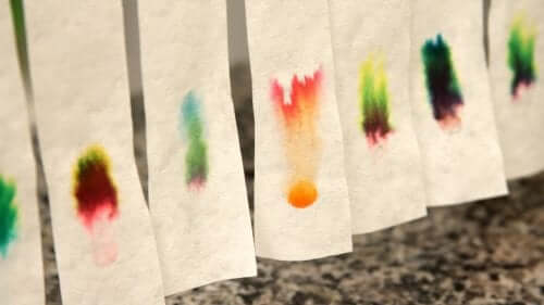 How to Explain Photosynthesis to Children