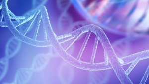 How to Explain DNA to Children