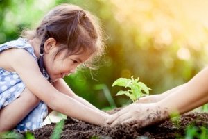 How to Explain Photosynthesis to Children