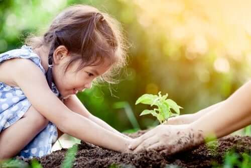 How to Explain Photosynthesis to Children