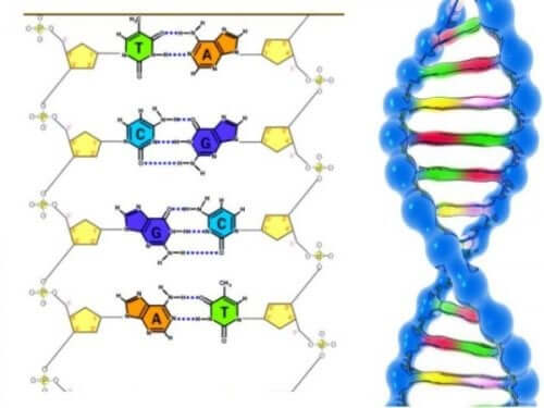 How to Explain DNA to Children