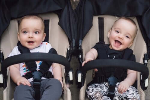 Twins in a stroller.