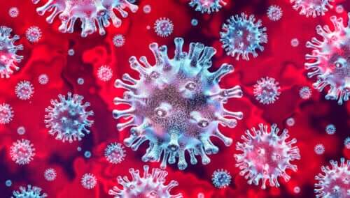 Is Coronavirus Dangerous for Children?