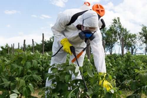 Are Genetically Modified Foods Really Safe?