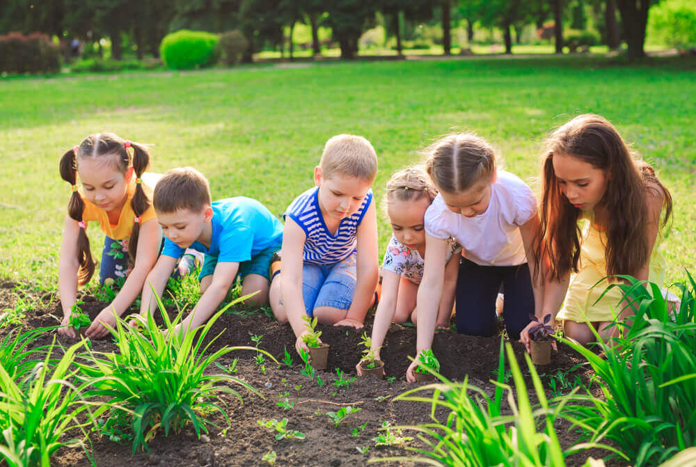 Experiments to Teach Children to Care for the Environment