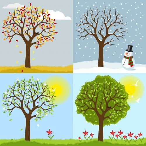 Children's Books on Seasons