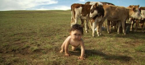 A documentary about 4 babies.