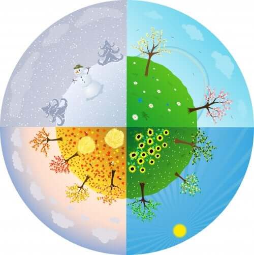 Children's Books on Seasons