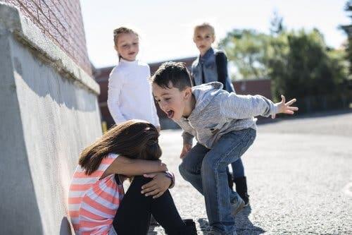 The Problem of Bullying at Recess