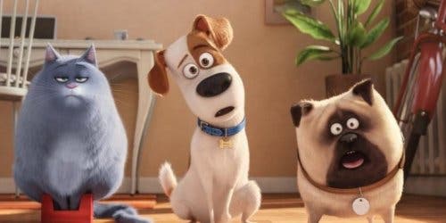 Where Can I Stream Pets 2 Online?