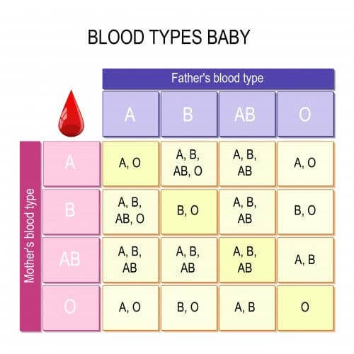 How to Explain Blood Groups to Children