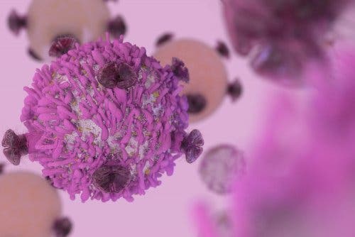The Development of Breast Cancer