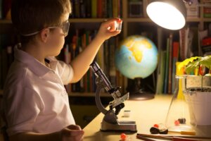 Strategies that Promote Curiosity in Learning