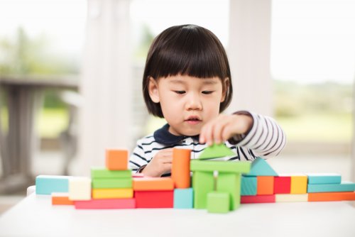 Heredity and the Environment in Children's Development