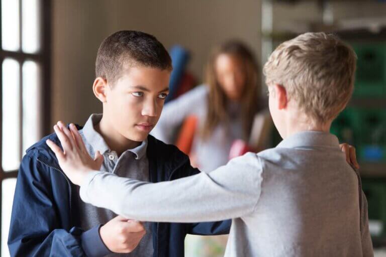 Dominance and Submission in School Bullying