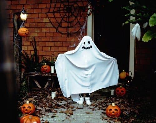 Halloween-themed Children's Books